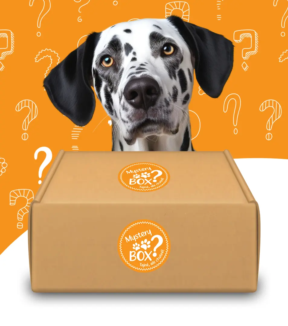 MYSTERY BOX plný sušených dobrôt XL